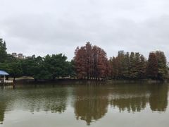 -四海公园(南山区)