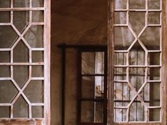 -东梓关景区村庄