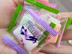 -一斗火锅·招财羊毛肚(北温泉九号店)