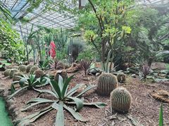 -呀路古热带植物园