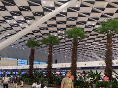 -郑州新郑国际机场-T2航站楼