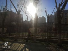 -秦皇岛市西港路小学