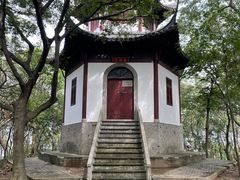 -上海佘山国家森林公园天马山园