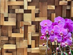 -园里火锅(仁和新城店)