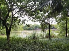 -西溪国家湿地公园