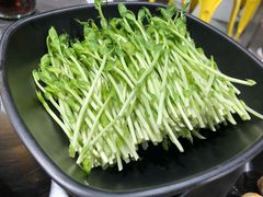 豆苗-水哥卜卜贝(东晓·胜汇里店)