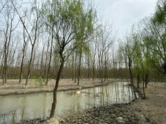 -溱湖国家湿地公园