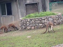 -西安秦岭野生动物园