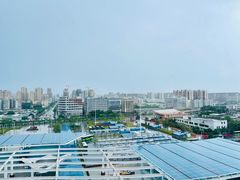 -陈记顺和潮汕牛肉火锅(韩江路店)