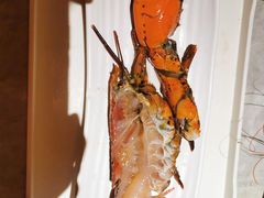 -雍容荟活波龙自助餐(IFS黑金店)
