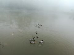 -大雁山风景区