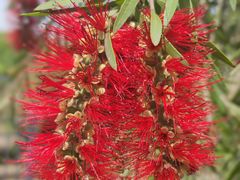 -沙河三洞古桥公园