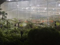 -金沙遗址博物馆