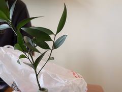 -小茶闲舍·观景商务茶馆(广州塔店)