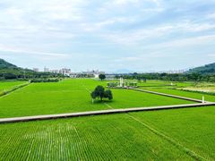 -艾米稻香小镇