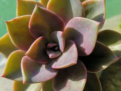 -弄堂里·寻味杭州(湖滨银泰in77C区店)