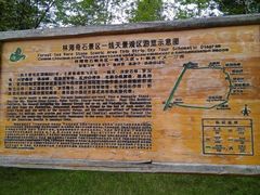 -汤旺河林海奇石景区