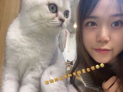 -Heymao猫咖.咖啡厅(东门店)
