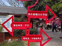 -杨梅坑