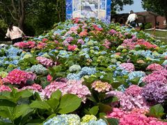 -武汉园博园(武汉自然博物馆)