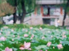 -颐和园