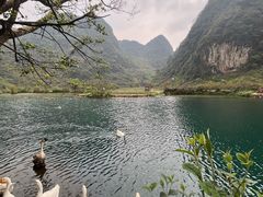 -靖西鹅泉风景区