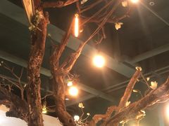 -梧桐树下(云锦世家店)