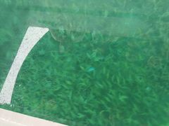 -蓝湾海滩
