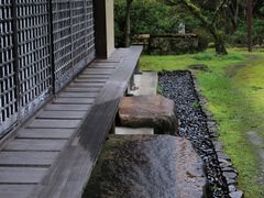 -奈良公园