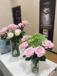 -北京米扬丽格医疗美容·联合丽格鼻整形中心