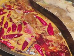 -朱光玉火锅馆(正弘城店)