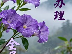 -闪电修企业手机电脑回收(西湖风景名胜区店)