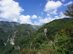 -牛背梁国家森林公园
