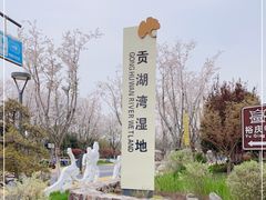 -贡湖湾湿地公园
