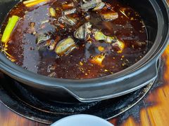 -金海椒罐罐鲢鱼(东方桂苑店)