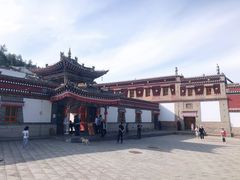 -塔尔寺-菩提树