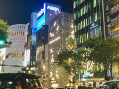 -御木本(银座2丁目本店)