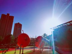 -上海市第一人民医院(松江南部)