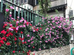 -树山生态村