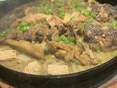 -老板恋上鱼(印象城店)