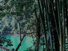 -鼎湖山风景区
