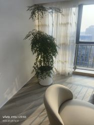 -HEYAN荷妍专业脱毛连锁机构