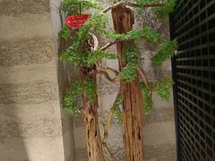 -熹素·鲜美素食Vegetarian (天河领展店)