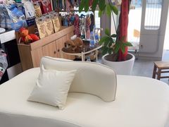 -唐小姐の私宠·宠物洗护美容·撸猫馆·购宠(周浦万达旗舰店)