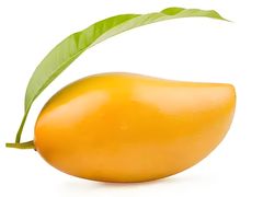 -海纳百川(义乌店)