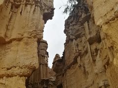 -元谋土林景区(物茂土林)