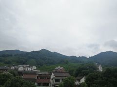 -龙井村