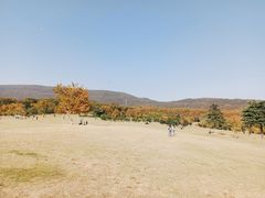 -钟山体育运动公园
