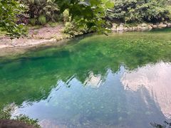 -石台牯牛降景区