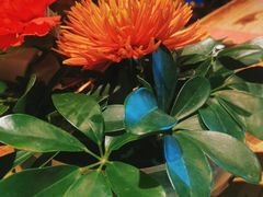 -瑶王府·广西菜(相思湖店)